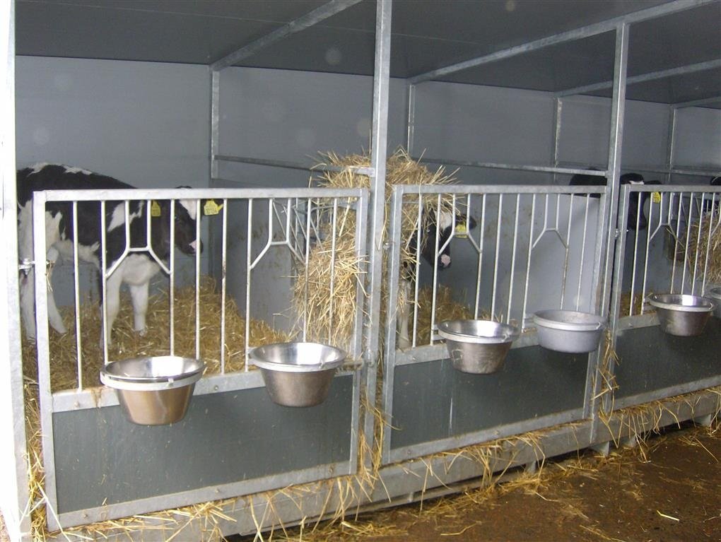 Melkstand a típus Agro Kalvehytter, Gebrauchtmaschine ekkor: Kjellerup (Kép 5)