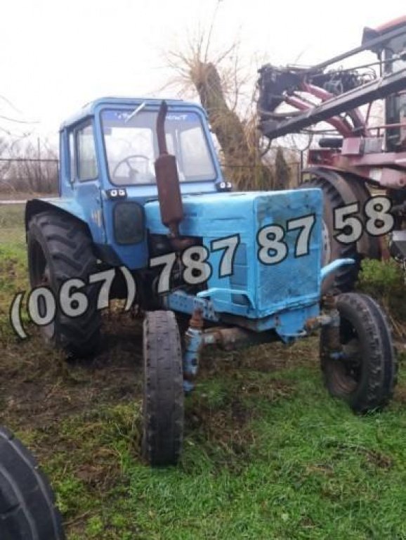 Oldtimer-Traktor a típus Belarus Беларус-80, Neumaschine ekkor: Запоріжжя (Kép 1)